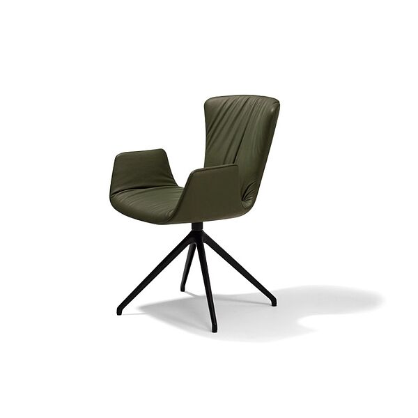 Dexter Sternfuß AL von Draenert