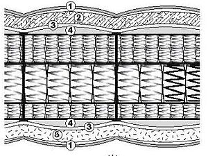 Treca Paris Istanbul zm Sonderpreis 